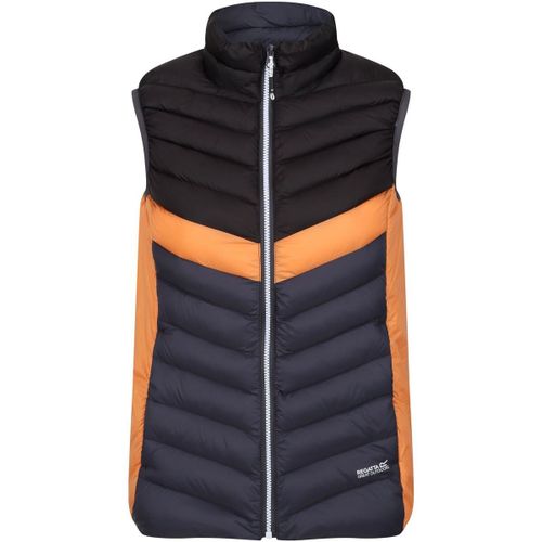 Blouson Regatta Harrock II - Regatta - Modalova