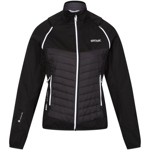 Blouson Regatta Steren - Regatta - Modalova
