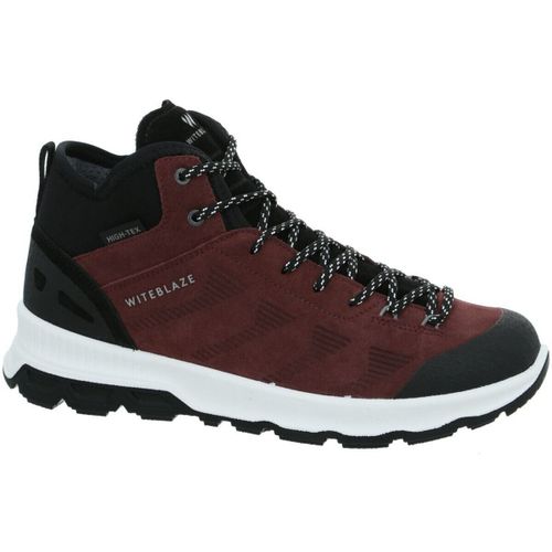 Chaussures Witeblaze - Witeblaze - Modalova