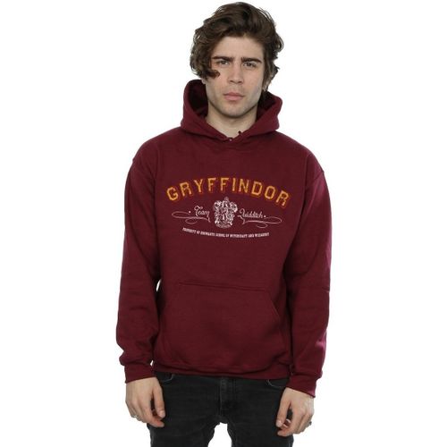 Sweatshirts à capuche Gryffindor Quidditch - Harry Potter - Modalova