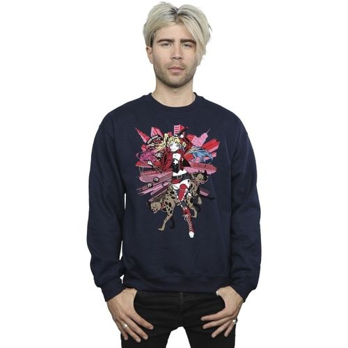 Sweatshirts Dc Comics BI12681 - Dc Comics - Modalova