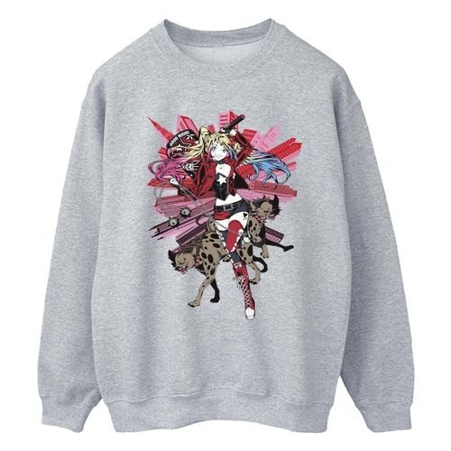Sweatshirts Dc Comics BI12681 - Dc Comics - Modalova