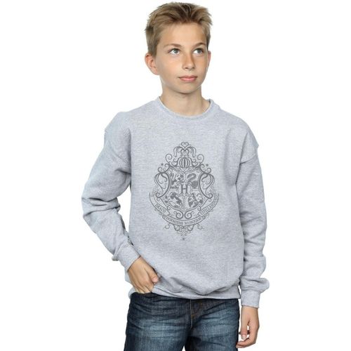 Sweatshirts Hogwarts Draco Dormiens - Harry Potter - Modalova