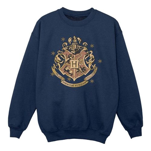 Sweatshirts Harry Potter BI20977 - Harry Potter - Modalova