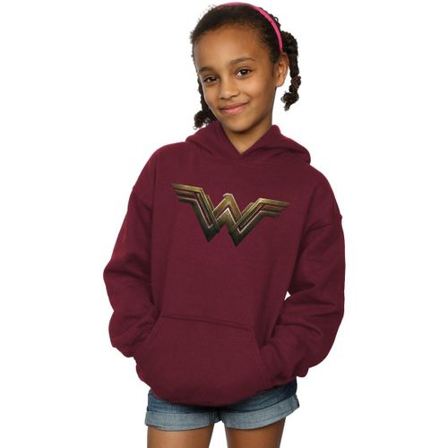 Sweatshirts à capuche BI3960 - Dc Comics - Modalova