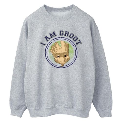 Sweatshirts Marvel BI19633 - Marvel - Modalova