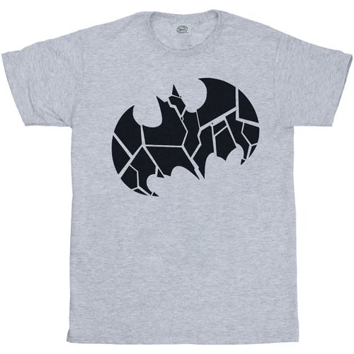 T-shirt Dc Comics BI21567 - Dc Comics - Modalova