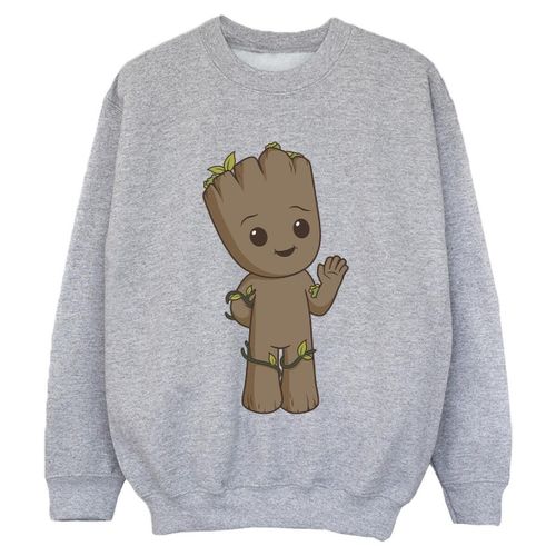 Sweatshirts Marvel I Am Groot - Marvel - Modalova