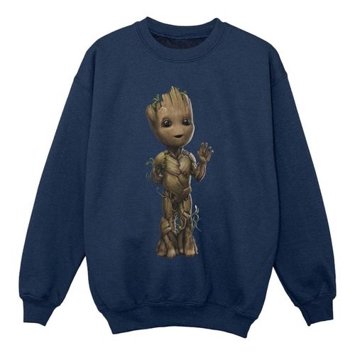 Sweatshirts Marvel I Am Groot - Marvel - Modalova