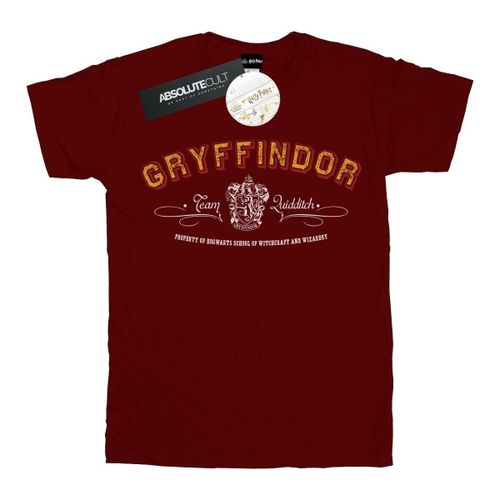 T-shirt Gryffindor Quidditch - Harry Potter - Modalova
