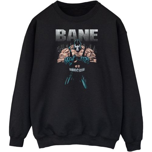 Sweatshirts Dc Comics BI48698 - Dc Comics - Modalova