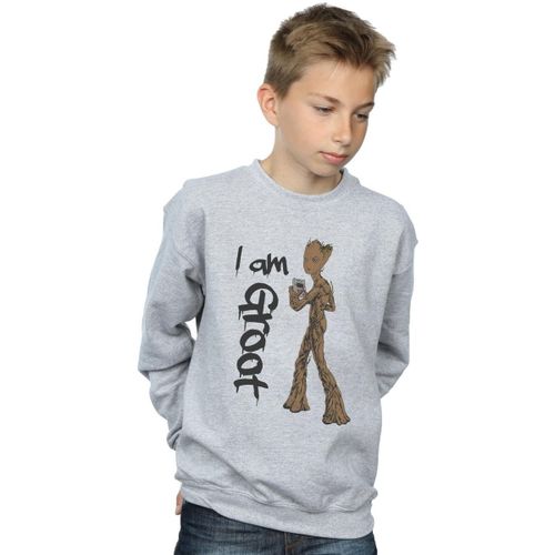 Sweatshirts Avengers Infinity War - Marvel - Modalova