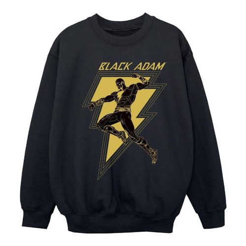Sweatshirts Dc Comics BI7959 - Dc Comics - Modalova