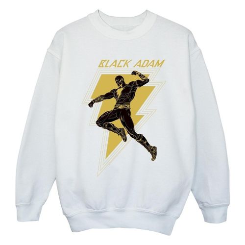 Sweatshirts Dc Comics BI7959 - Dc Comics - Modalova
