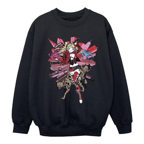 Sweatshirts Dc Comics BI9083 - Dc Comics - Modalova