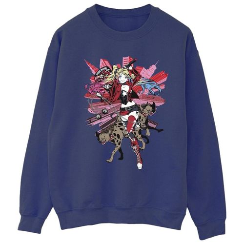 Sweatshirts Dc Comics BI9456 - Dc Comics - Modalova