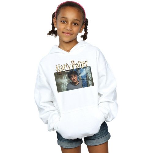 Sweatshirts à capuche BI8207 - Harry Potter - Modalova