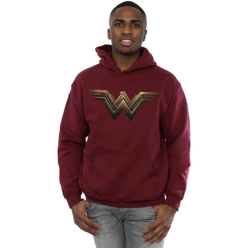 Sweatshirts à capuche BI5195 - Dc Comics - Modalova