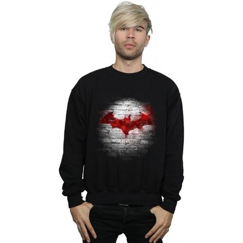 Sweatshirts Dc Comics BI11556 - Dc Comics - Modalova