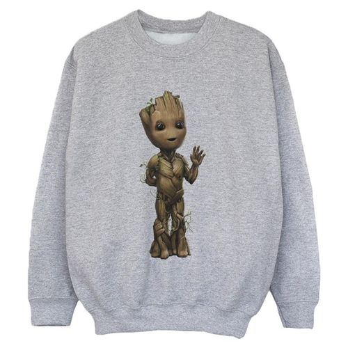 Sweatshirts Marvel I Am Groot - Marvel - Modalova