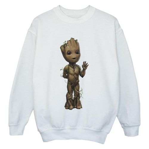 Sweatshirts Marvel I Am Groot - Marvel - Modalova