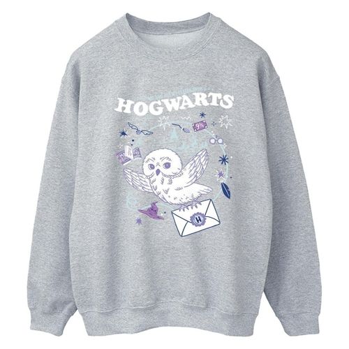 Sweatshirts Letter From Hogwarts - Harry Potter - Modalova