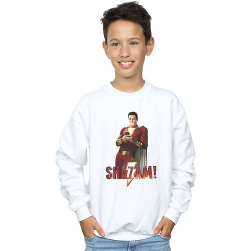 Sweatshirts Dc Comics BI32803 - Dc Comics - Modalova