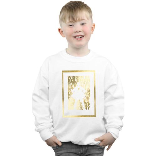 Sweatshirts Dc Comics BI32832 - Dc Comics - Modalova