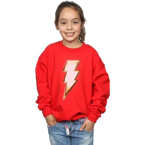 Sweatshirts Dc Comics BI33909 - Dc Comics - Modalova