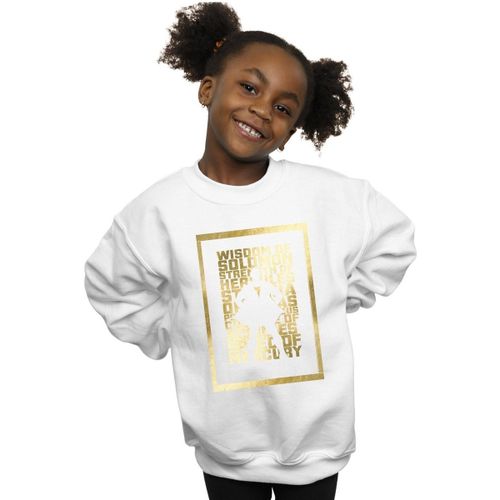 Sweatshirts Dc Comics BI33932 - Dc Comics - Modalova
