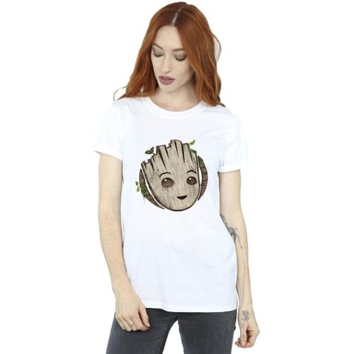 T-shirt Marvel I Am Groot - Marvel - Modalova