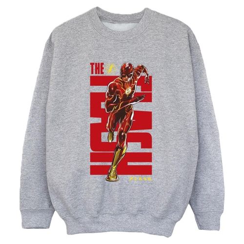Sweatshirts Dc Comics BI38359 - Dc Comics - Modalova