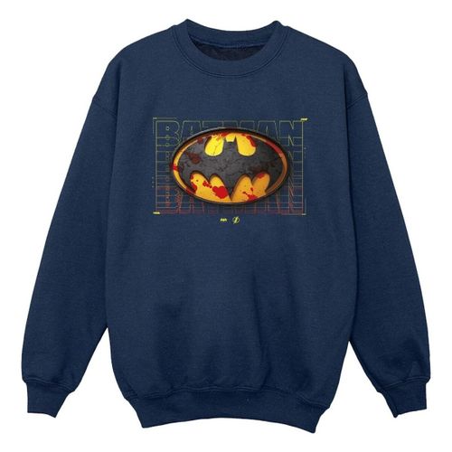 Sweatshirts Dc Comics BI38379 - Dc Comics - Modalova