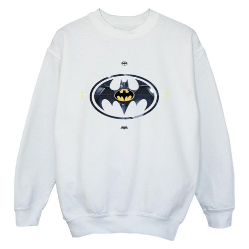 Sweatshirts Dc Comics BI38299 - Dc Comics - Modalova