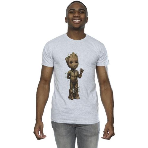 T-shirt Marvel I Am Groot - Marvel - Modalova