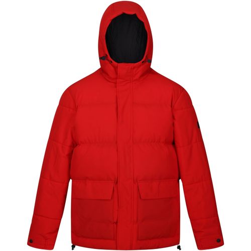 Doudounes Regatta Falkner - Regatta - Modalova