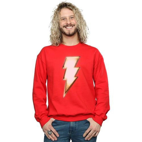 Sweatshirts Dc Comics BI44481 - Dc Comics - Modalova