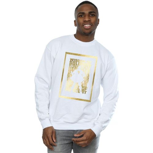 Sweatshirts Dc Comics BI44507 - Dc Comics - Modalova