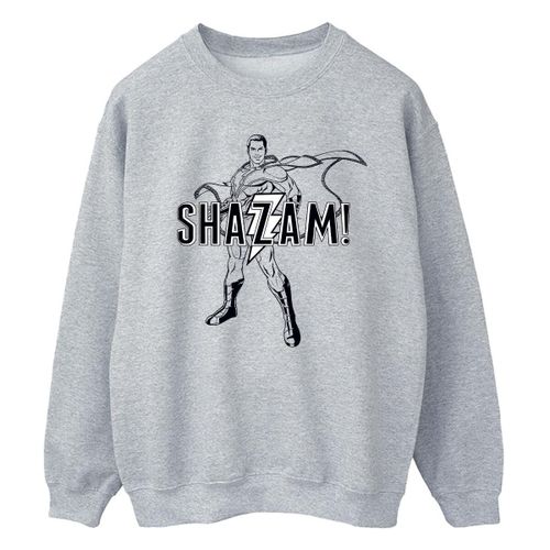 Sweat-shirt Dc Comics BI44531 - Dc Comics - Modalova