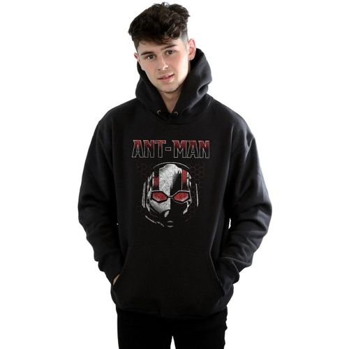 Sweatshirts à capuche BI3670 - Marvel - Modalova