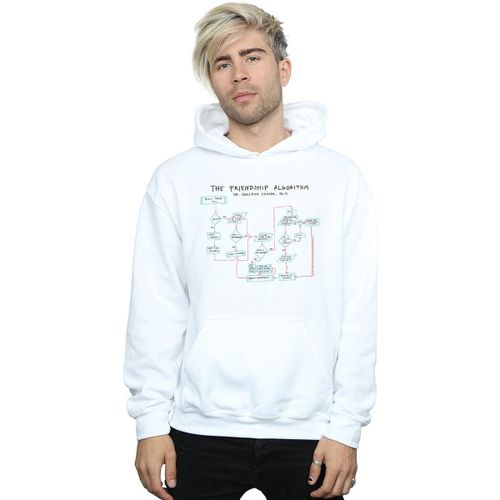 Sweatshirts à capuche Friendship Algorithm - The Big Bang Theory - Modalova