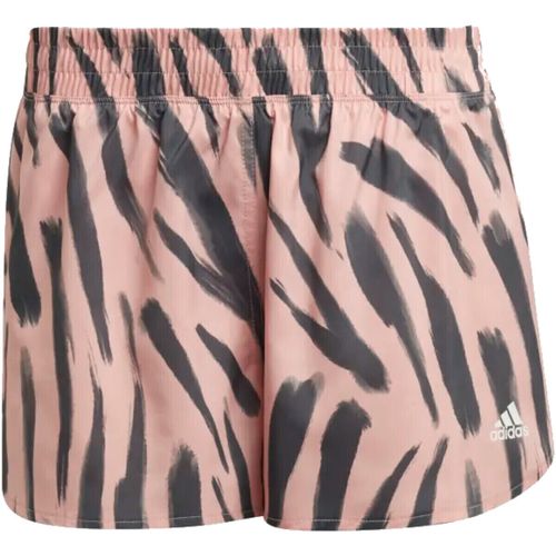 Short adidas HB9336 - adidas - Modalova