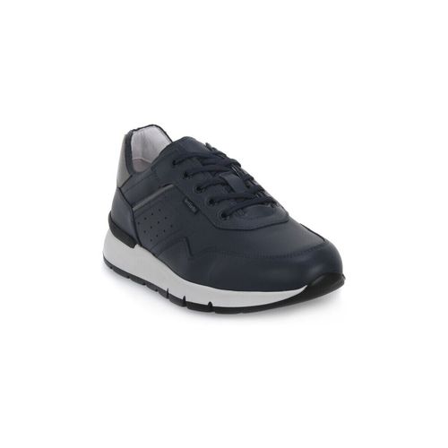 Baskets basses Sauvage Grigio - NeroGiardini - Modalova