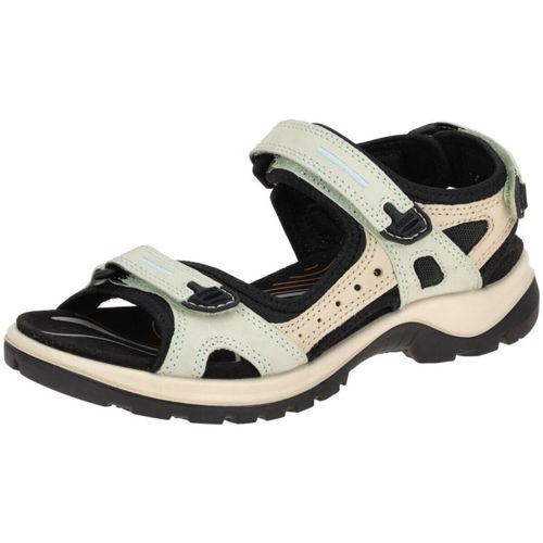 Chaussures Ecco - Ecco - Modalova