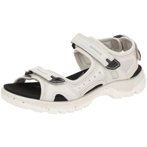 Chaussures Ecco - Ecco - Modalova