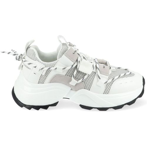 Baskets basses Steve Madden Sneaker - Steve Madden - Modalova