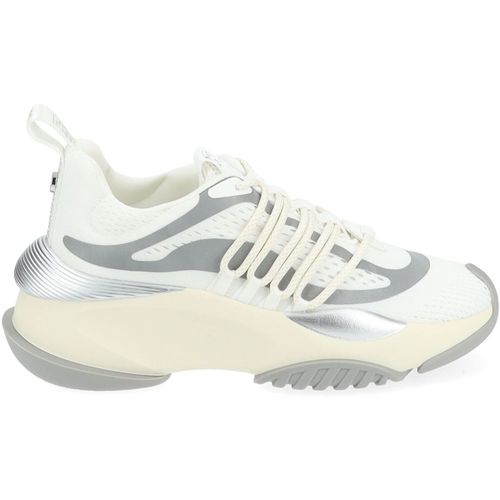 Baskets basses Steve Madden Sneaker - Steve Madden - Modalova