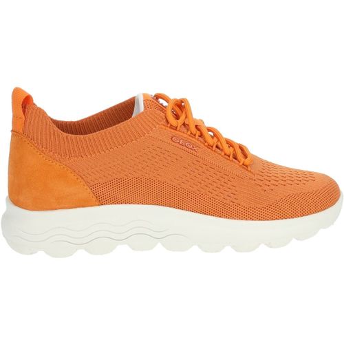 Baskets basses Geox Sneaker - Geox - Modalova