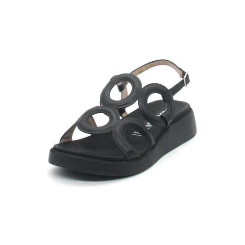 Sandales compensées Wonders C-6533 - Wonders - Modalova