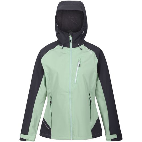 Blouson Regatta Birchdale - Regatta - Modalova